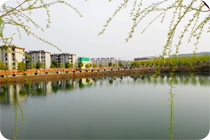 校园风光