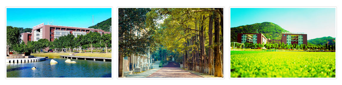 福州大学厦门工艺美术学院