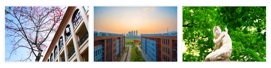 福州大学厦门工艺美术学院