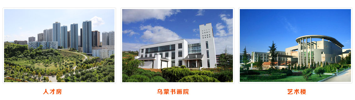 贵州工程应用技术学院