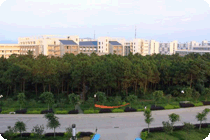 小树林
