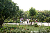 夏季的校园