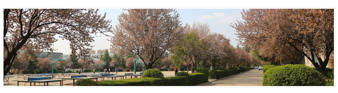 陕西科技大学镐京学院人事处