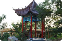 槐荫桃李