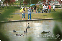 求学湖