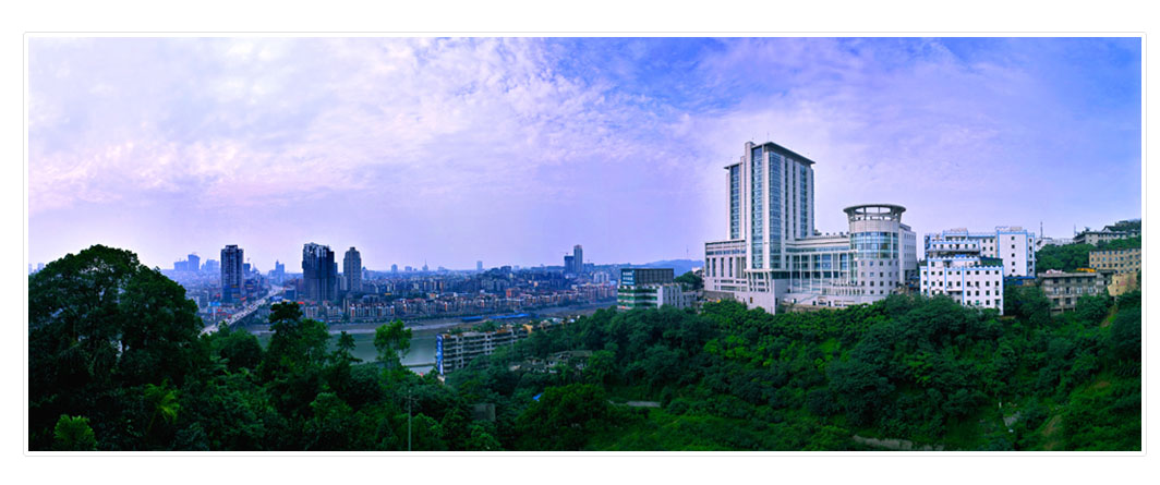 西南医科大学临床医学院·附属医院