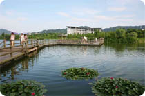 东湖