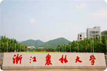 校门